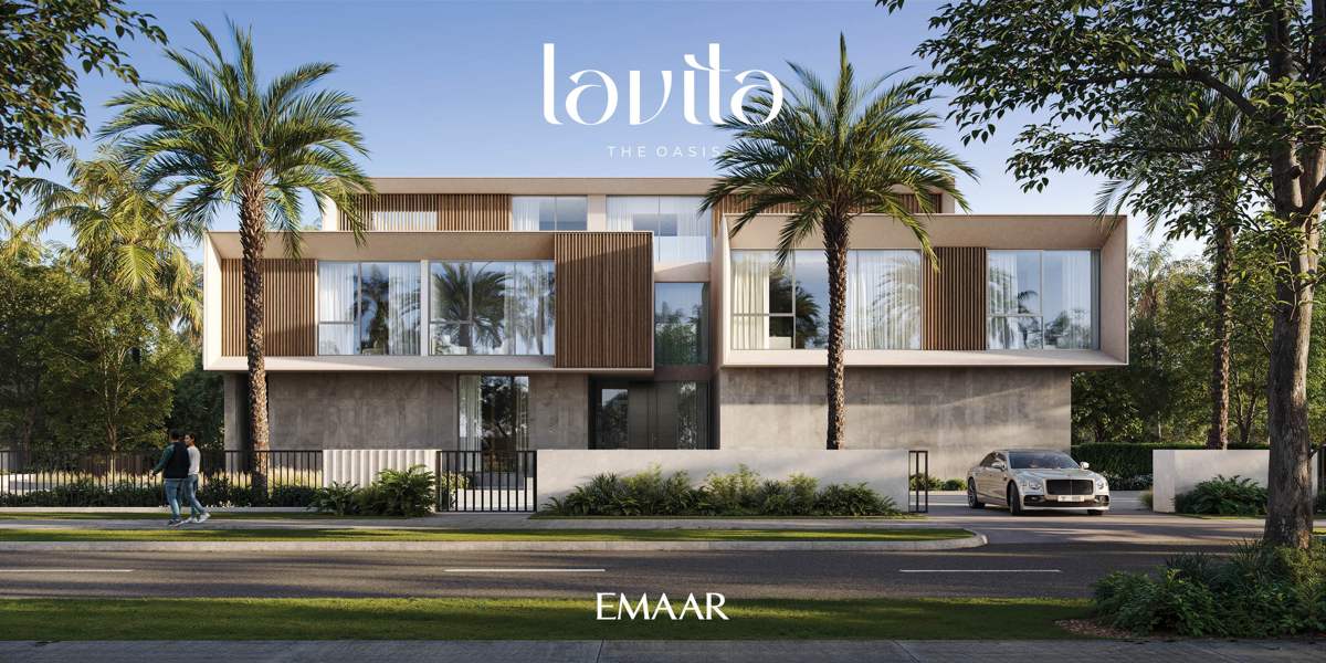 Lavita mansion street view